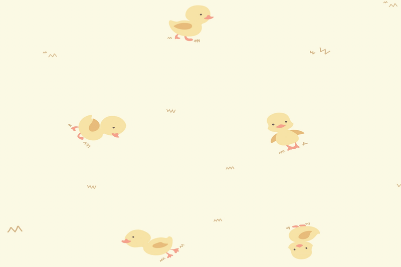 Cutie Little Duck