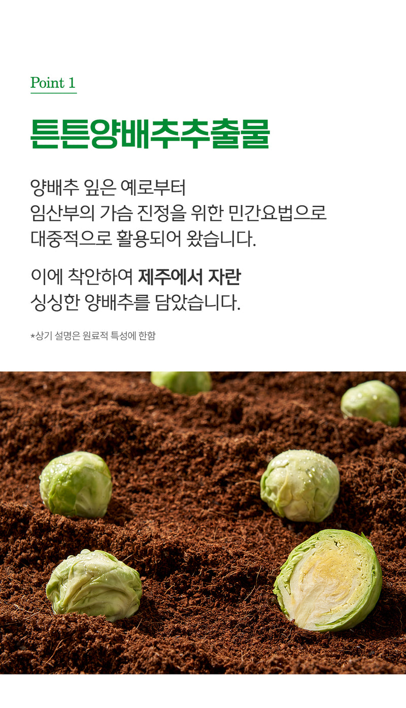 KRTN005 Korea tntn mom's Cabbage Breast Cooling Cream