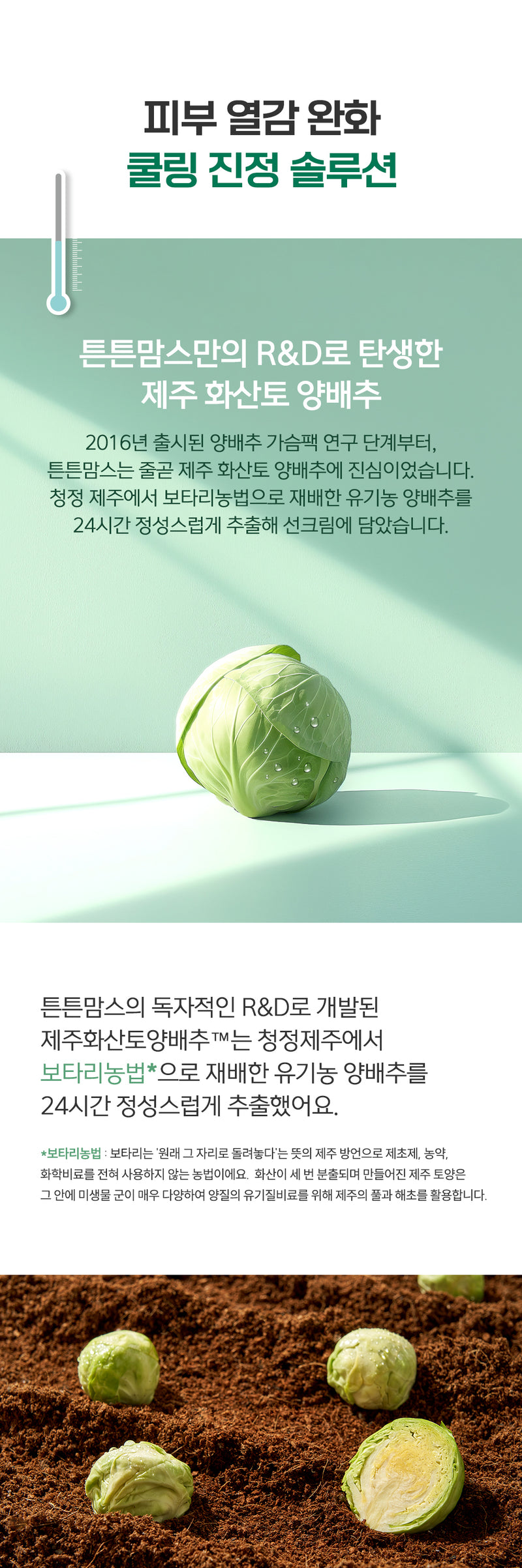 KRTN035 Korea tntn mom's Jeju Cabbage Vegan Pregnancy Safe Sunscreen 50ml (SPF50+)